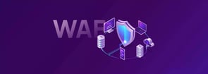 Illustration depicting WAF as part of cybersecurity